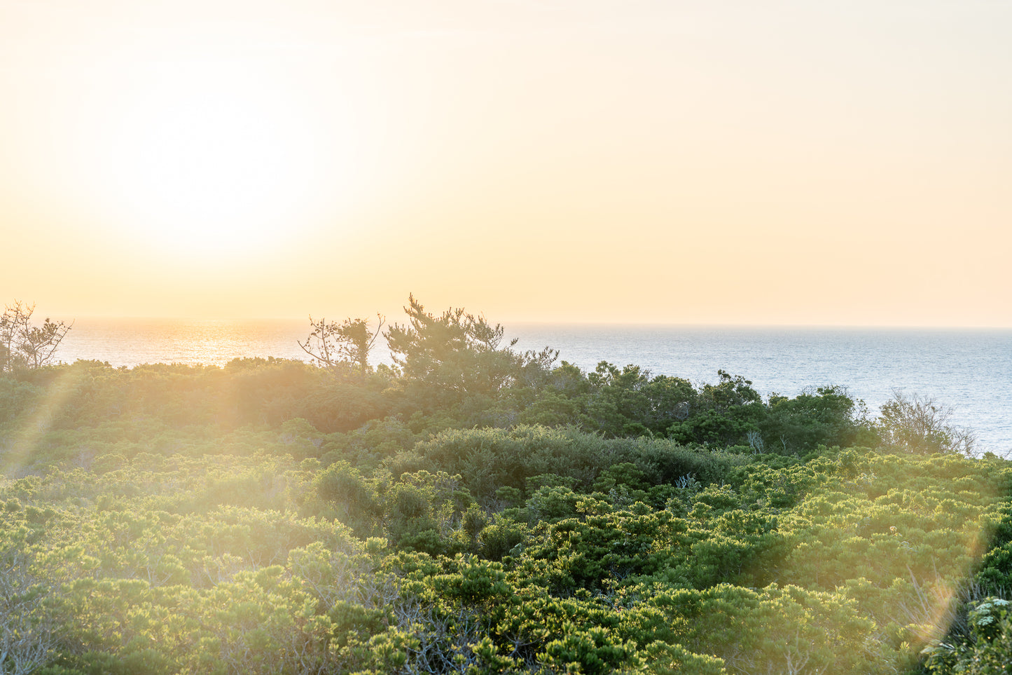 Sunset at Tupancy