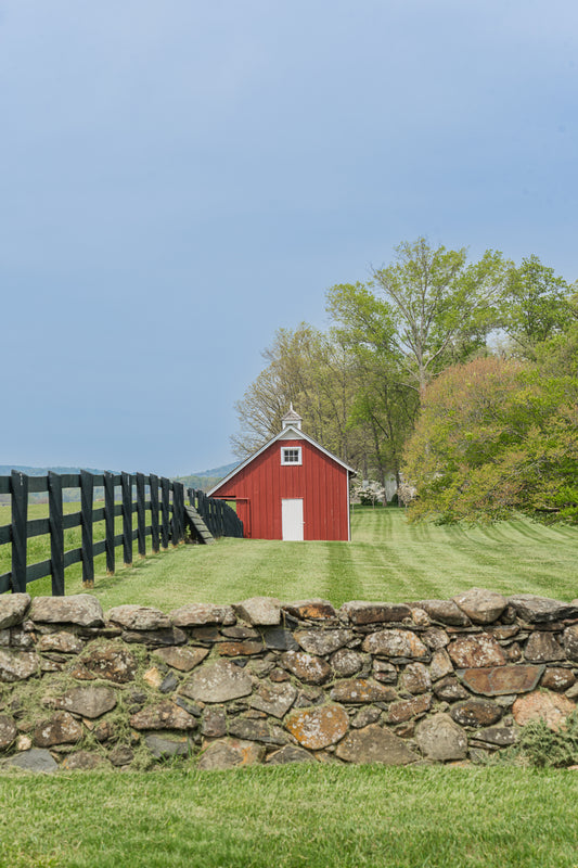 Virginia Country Road
