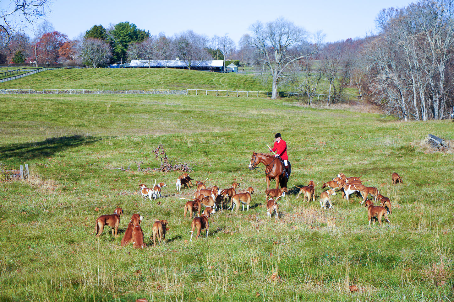 Foxhunting in Middleburg I