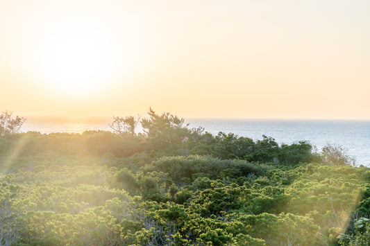 Sunset at Tupancy