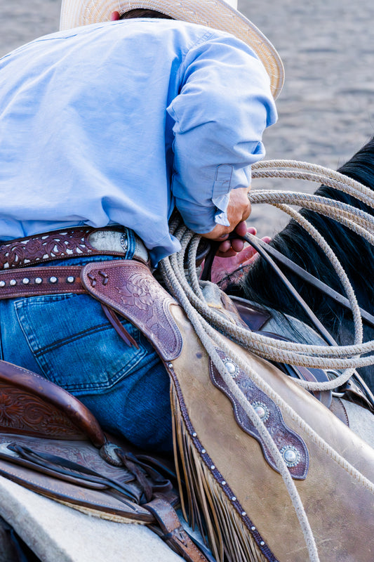 Big Sky Cowboy