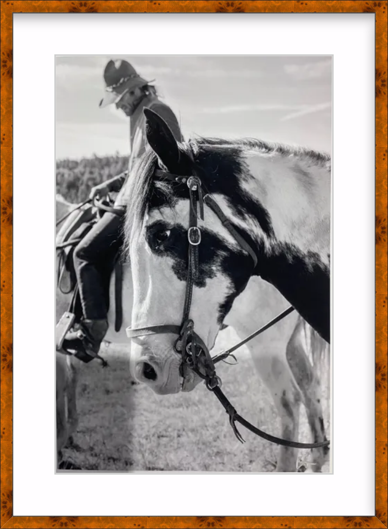 Telluride Cowboy